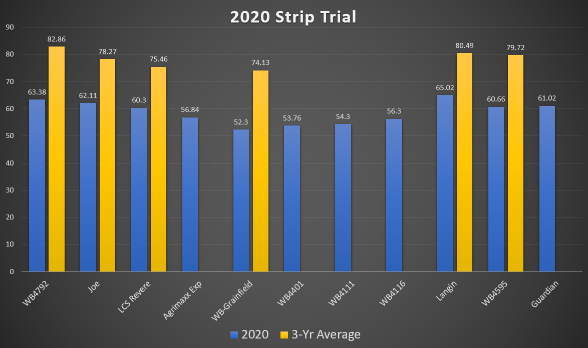 2020 Strip Trial